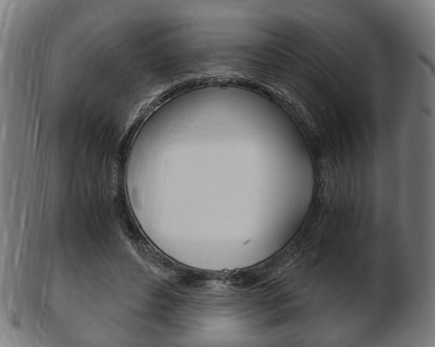 X0000103480496200809120931