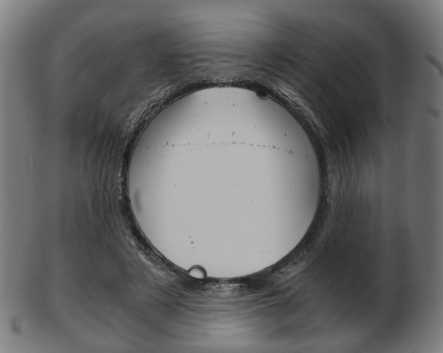 X0000103480497200809120931