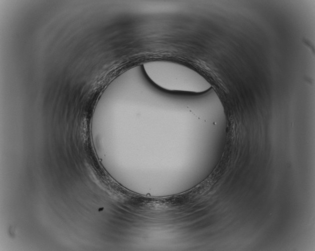 X0000103480498200809120931