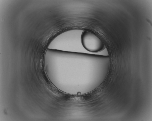 X0000103480499200809120931