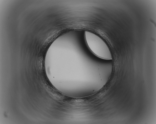 X0000103480501200809120931