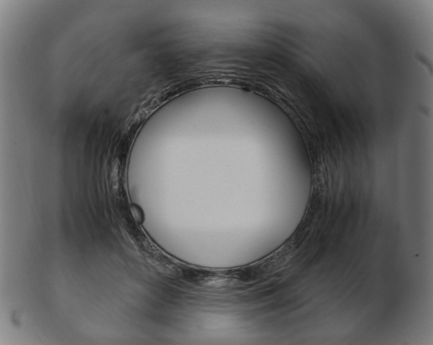 X0000103480504200809120931