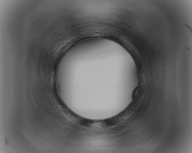 X0000103480505200809120931