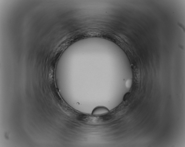X0000103480507200809120931