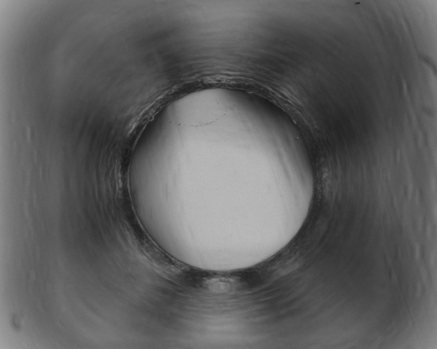 X0000103480508200809120931
