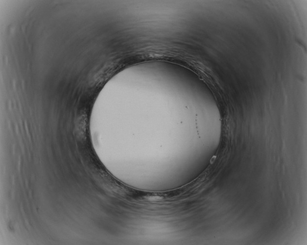X0000103480509200809120931