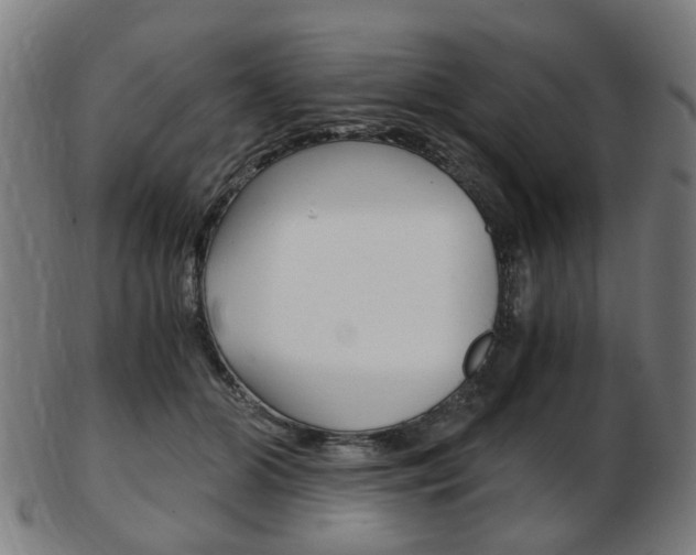 X0000103480510200809120931