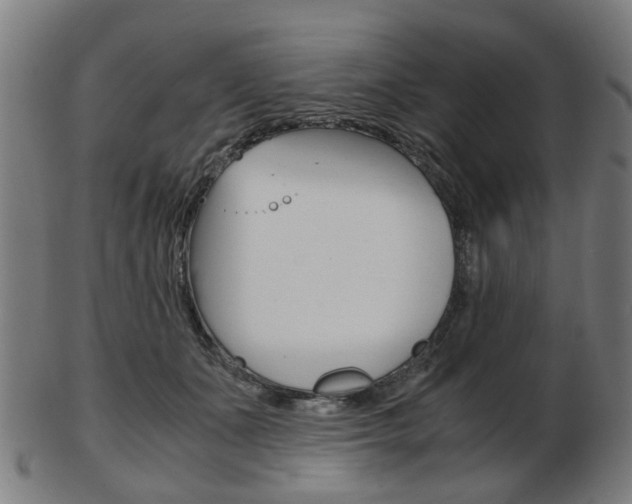 X0000103480511200809120931