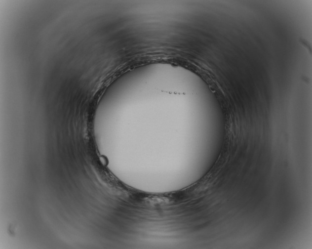 X0000103480512200809120931