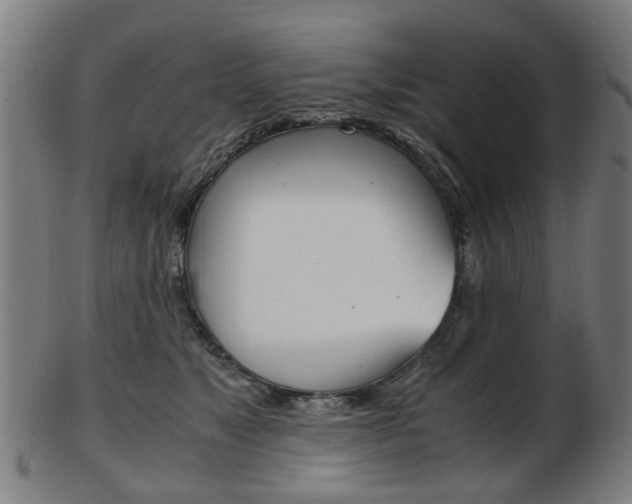 X0000103480517200809120931