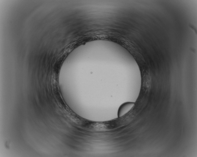 X0000103480518200809120931