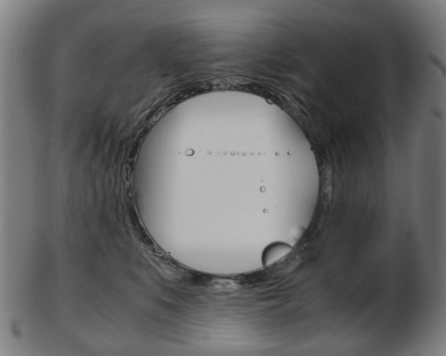 X0000103480519200809120931