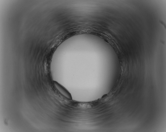 X0000103480520200809120931