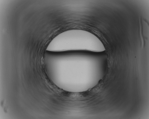 X0000103480521200809120931