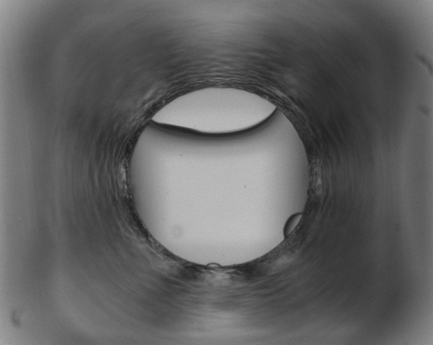 X0000103480523200809120931