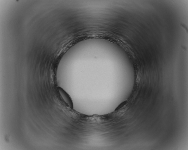 X0000103480524200809120931