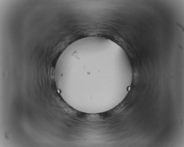 X0000103480525200809120931