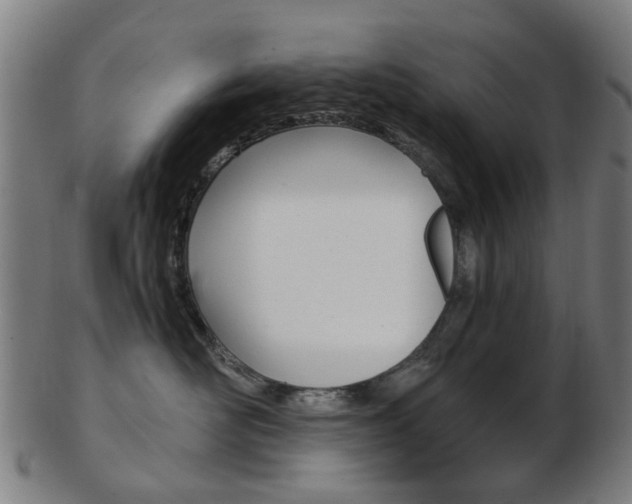 X0000103480526200809120931