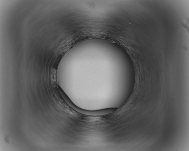 X0000103480528200809120931