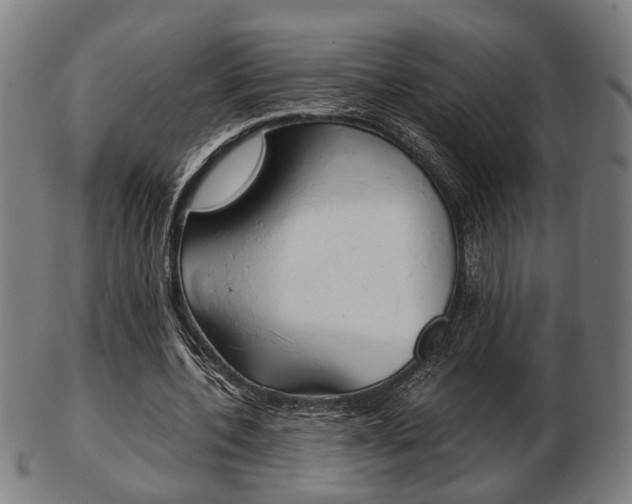 X0000103480532200809120930