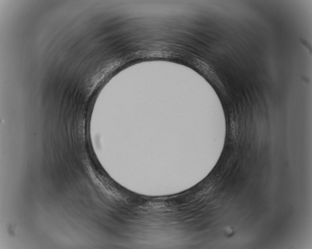 X0000103480534200809120930