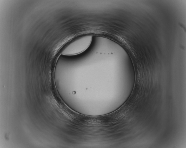 X0000103480535200809120930