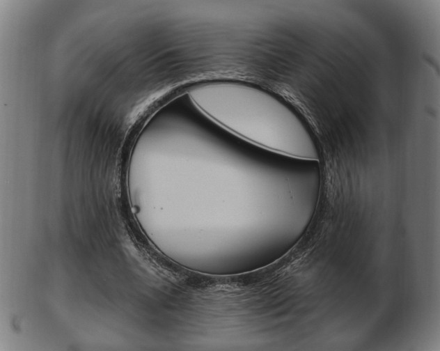 X0000103480536200809120930