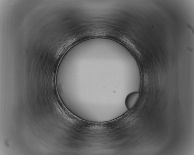 X0000103480537200809120930