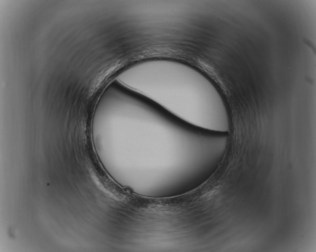 X0000103480538200809120930