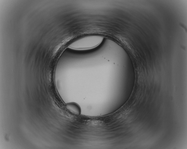 X0000103480539200809120930