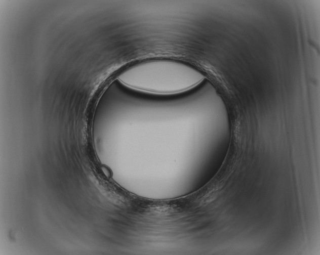 X0000103480540200809120930