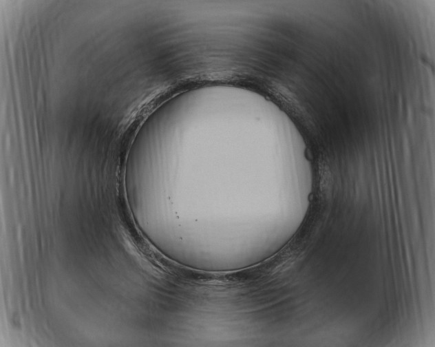 X0000103480542200809120930