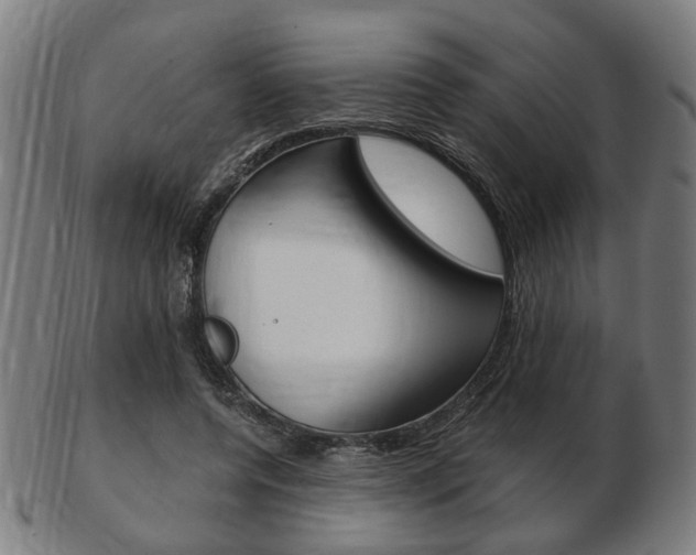 X0000103480544200809120930