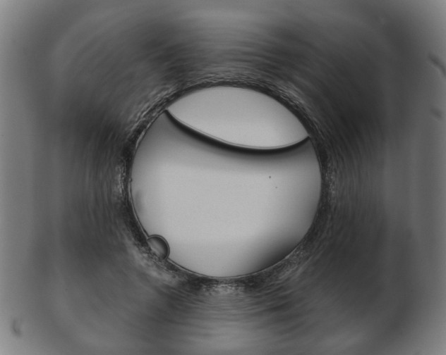 X0000103480546200809120930