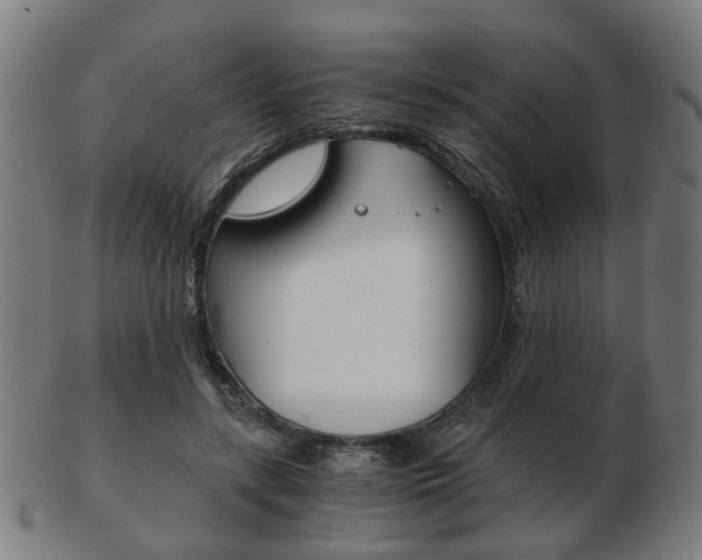 X0000103480547200809120930