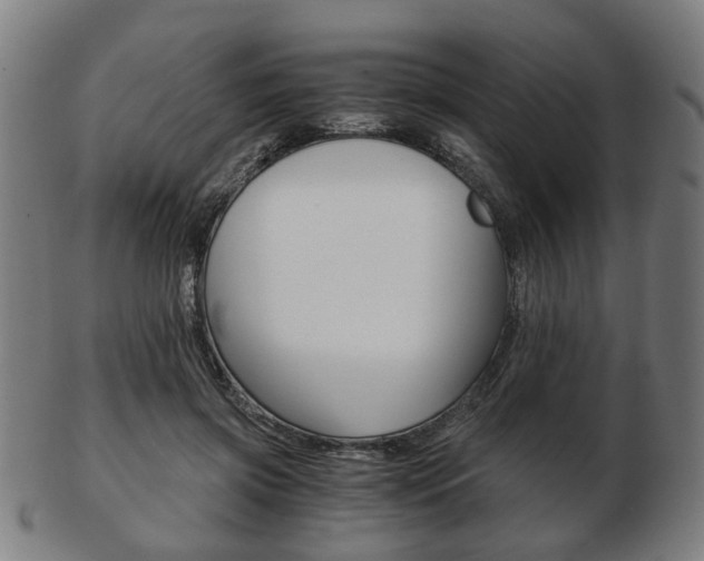 X0000103480549200809120930