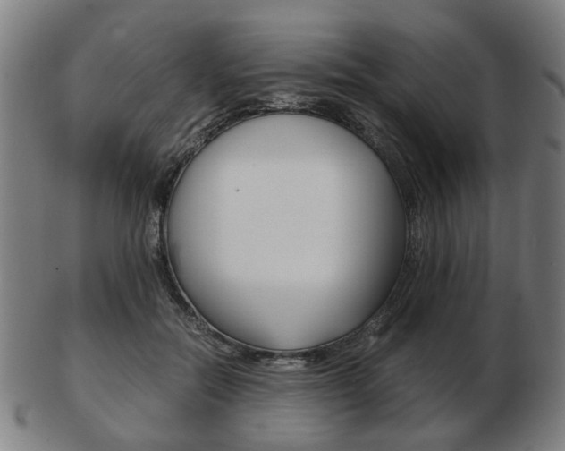 X0000103480554200809120930