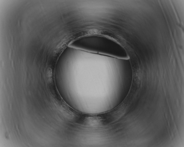 X0000103480556200809120930