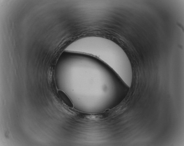 X0000103480558200809120930