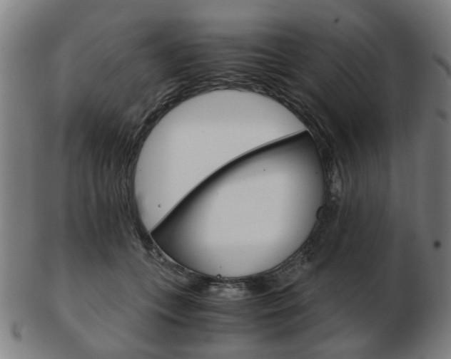 X0000103480559200809120930