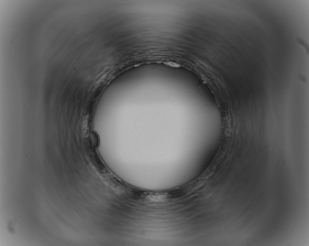 X0000103480560200809120930