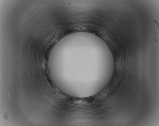 X0000103480561200809120930