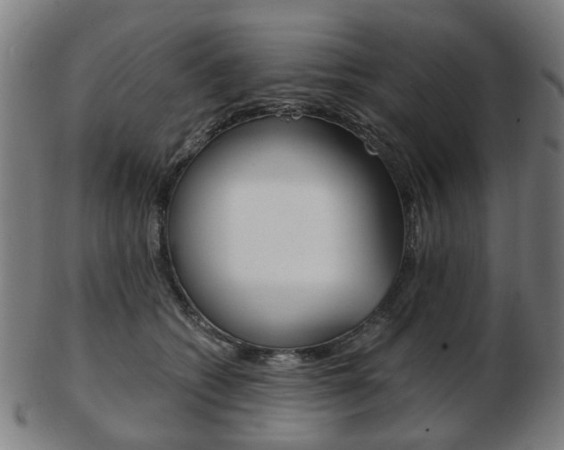 X0000103480562200809120930