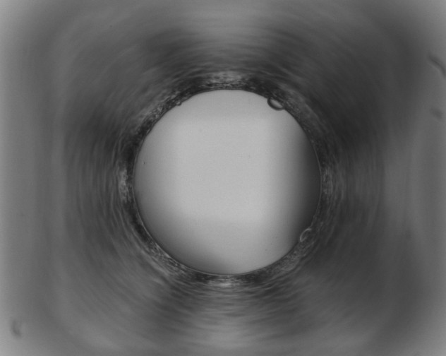 X0000103480564200809120930