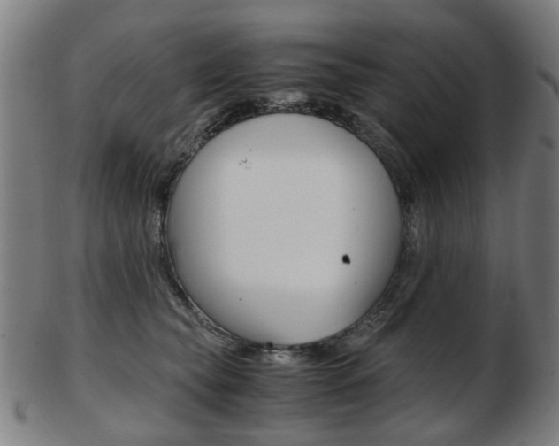 X0000103480565200809120930