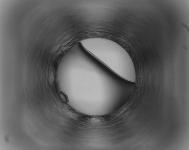 X0000103480566200809120930