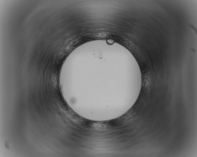 X0000103480568200809120930