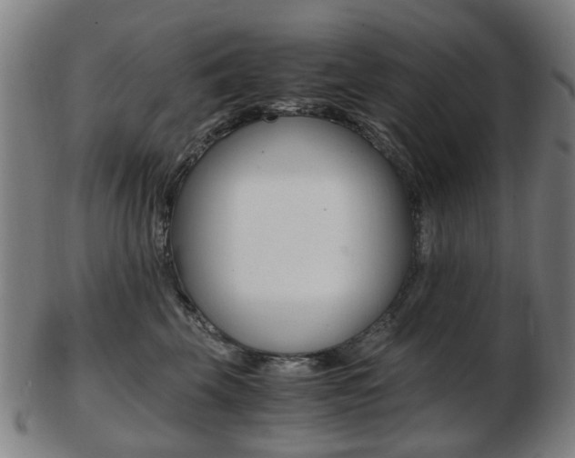 X0000103480569200809120931