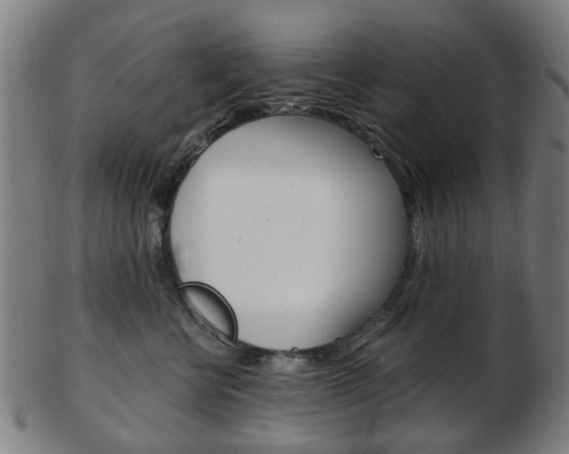X0000103480570200809120931