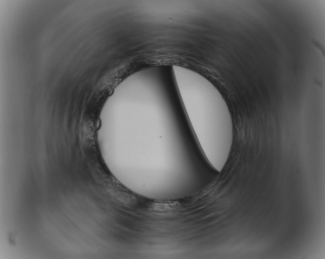 X0000103480571200809120931